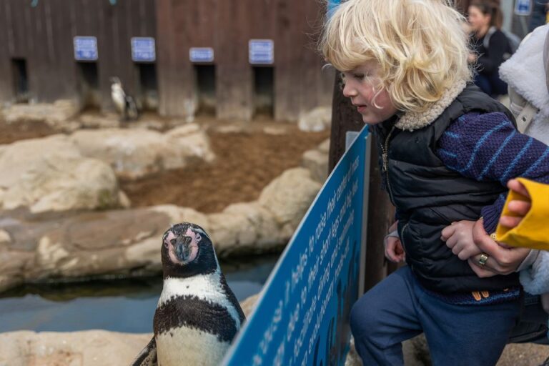 Sea Life Scarborough Attraction Overview