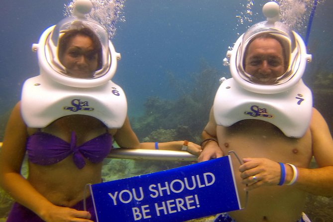 Sea Trek Helmet Dive At Coral World Ocean Park Overview Of Sea Trek Helmet Dive