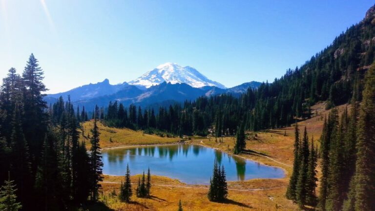 Seattle All Inclusive: Hike Mt. Rainier And Wine Tasting Tour Overview