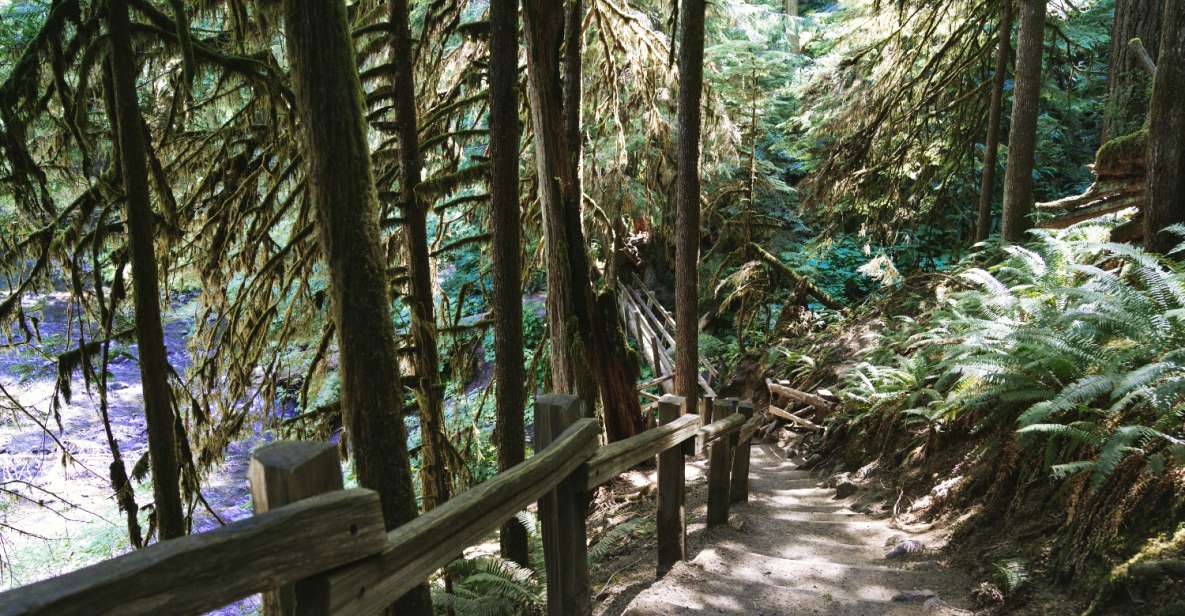 Seattle And Olympic NP Self-Guided Audio Bundle Tour - Tour Package Overview