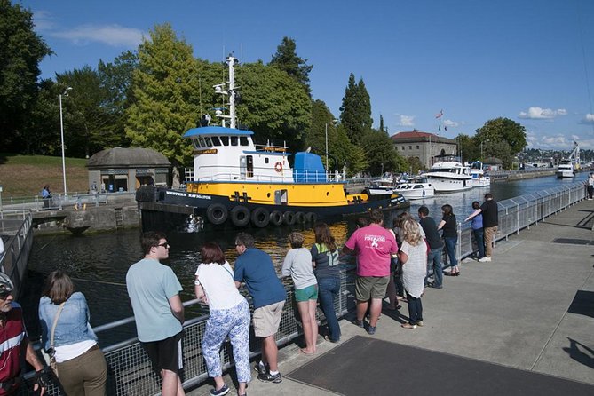 Seattle City And Snoqualmie Falls Half Day Guided Tour Tour Overview