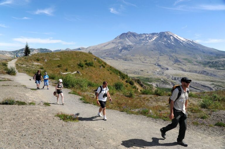 Seattle: Mt. St. Helens National Monument Small Group Tour Explore The Nisqually Wildlife Refuge