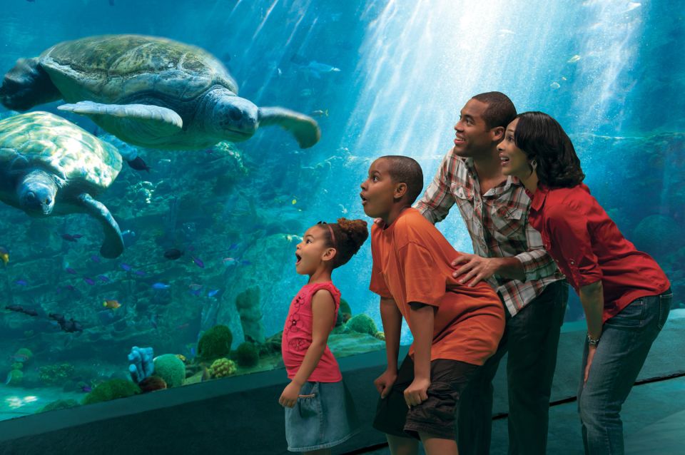 SeaWorld Orlando: Park Admission Ticket - Overview of SeaWorld Orlando