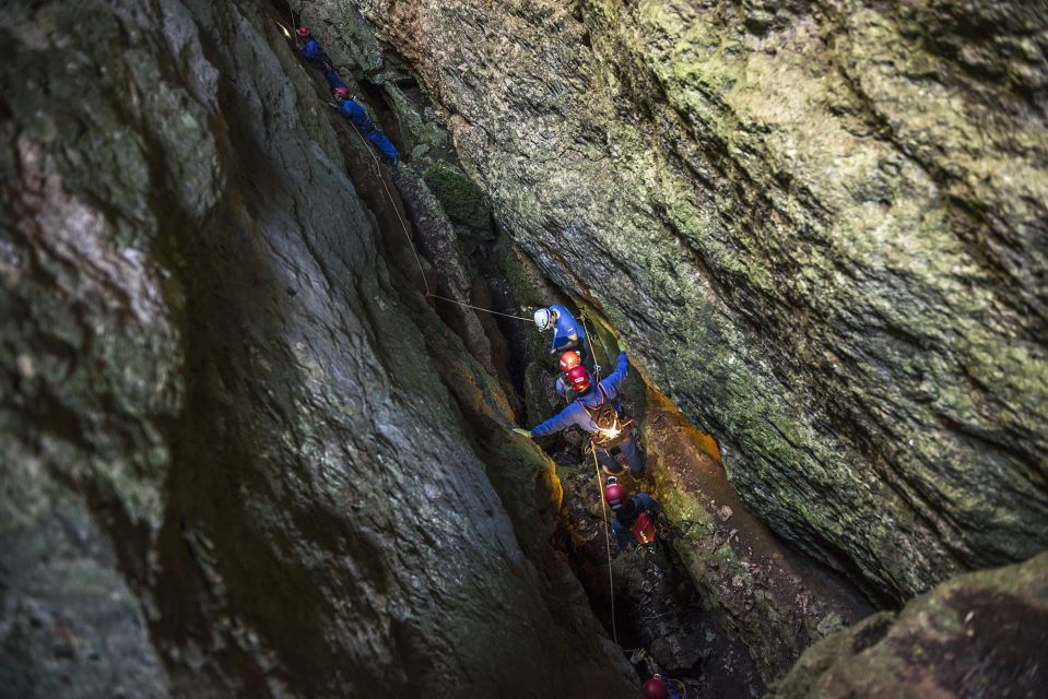 Setúbal: Arrábida Natural Park Adventure Circuit - Overview of the Activity