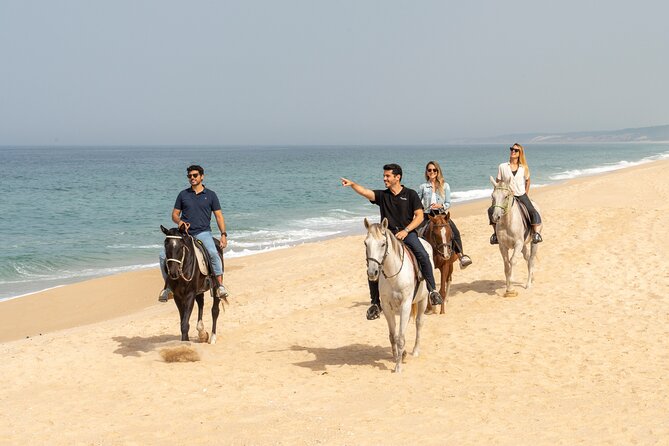 Setubal & Comporta Trip With Horseback Riding From Lisbon Included Activities