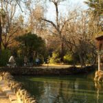 Seville Bike Tour Following The Guadalquivir River Tour Overview