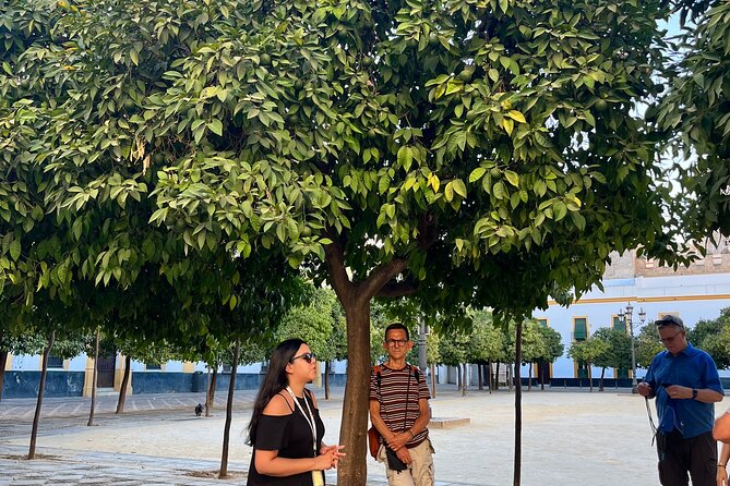 Seville Highlights Private Walking Tour Overview Of The Tour