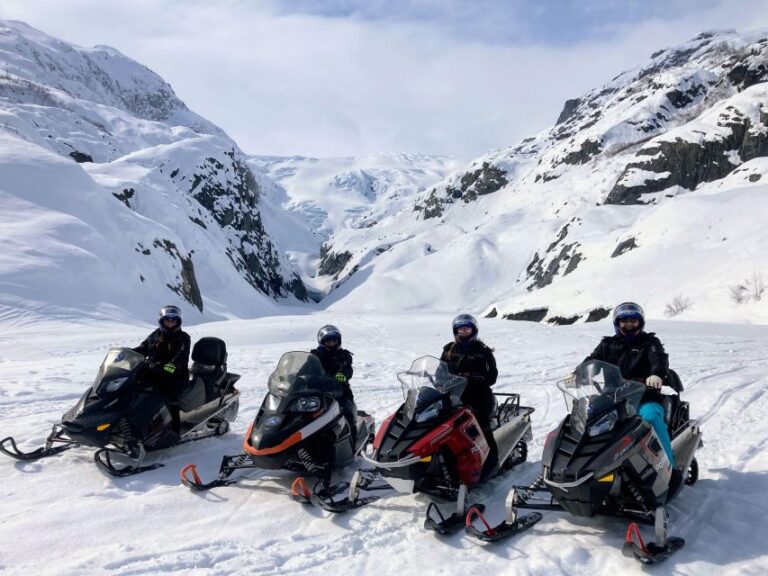 Seward: Kenai Fjords National Park Guided Snowmobiling Tour Stunning Landscape And Viewpoints