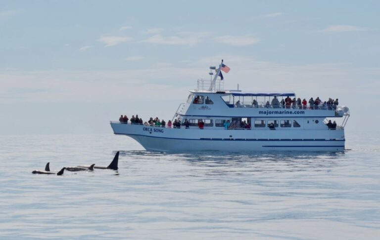 Seward: Resurrection Bay And The Kenai Fjords Orca Cruise Highlights Of The Cruise