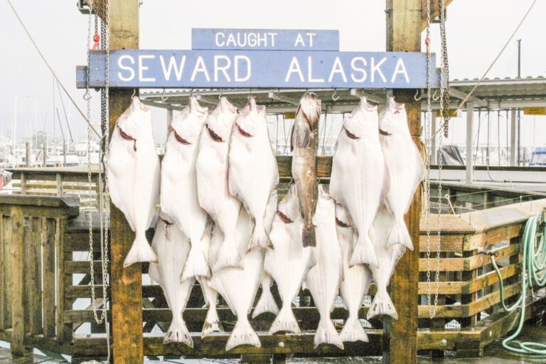 Seward: Self Guided Audio Tour Overview Of Seward, Alaska