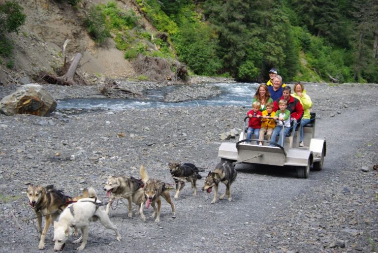 Seward: Summer Dog Sled Ride And Seavey Estate Tour Activity Overview