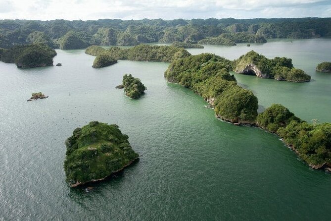 Shared 10-12 Hours Tour in Los Haitises National Park - Highlights of the Tour