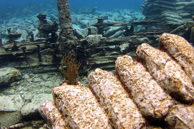 Shipwreck Snorkel in Bermuda - Vibrant Offshore Reef Exploration