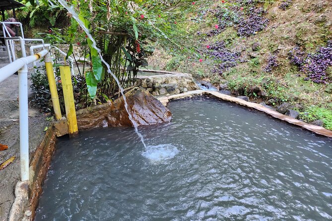 Shoreside Fun Day With Titou Gorge, Hot Springs & Champagne Reef Tour Overview