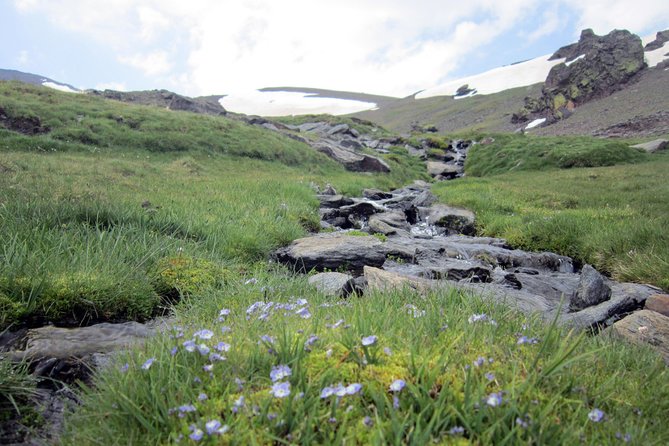 Sierra Nevada Day Trip From Granada. Small Group Up To 8 Pax Overview Of Sierra Nevada National Park