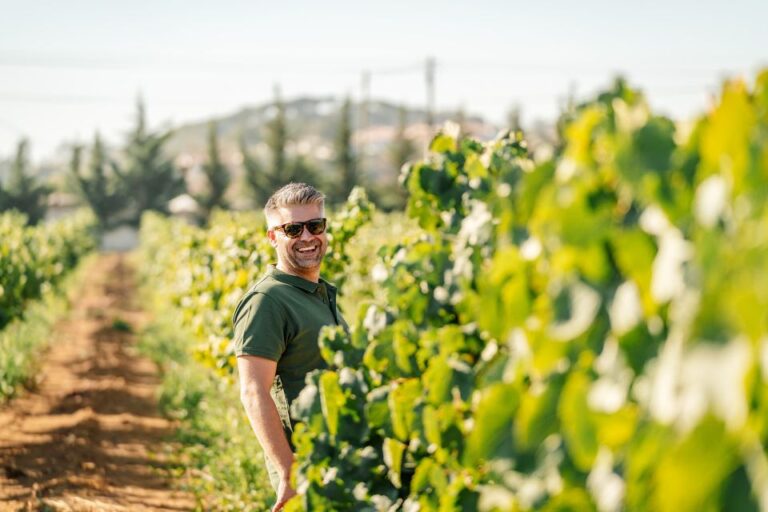 Silves: Algarve Vineyard Tour With Premium Wine Tasting Tour Overview And Pricing