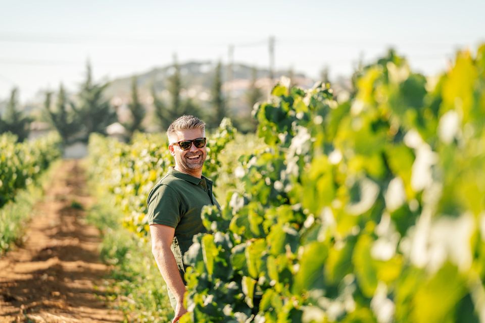 Silves: Algarve Vineyard Tour With Premium Wine Tasting - Tour Overview and Pricing