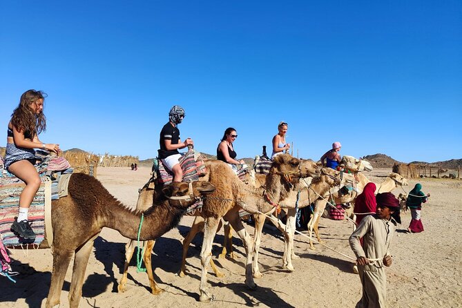 Single Quad Biking In Hurghada Overview Of The Tour