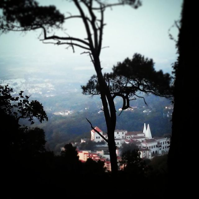 Sintra: Legends And Medieval Stories Private Walking Tour Tour Overview