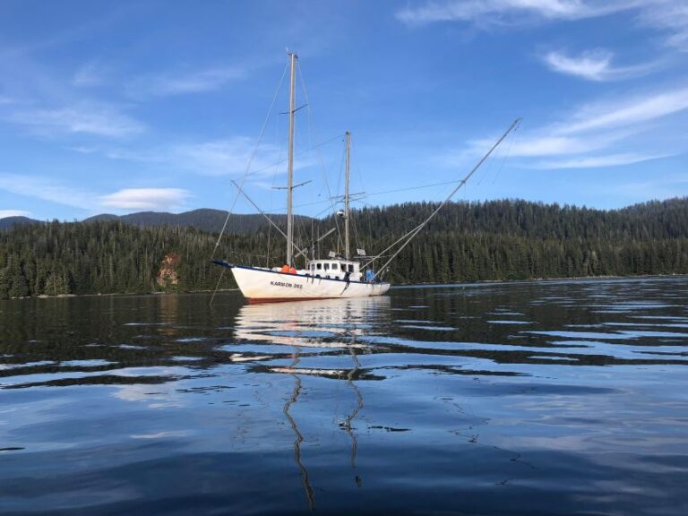 Sitka Boat Tours: Whale Watching, Hot Springs, Kayaking Tour Details