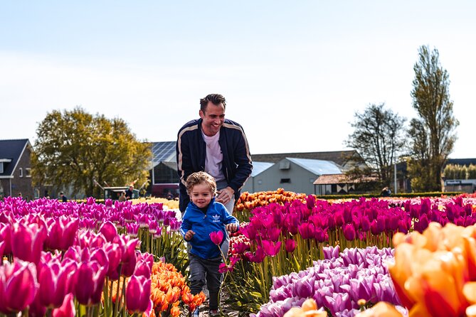 Skip-The-Line Keukenhof Gardens Sighseeing Tour From Amsterdam - Overview of the Tour