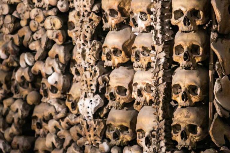 Skip The Line: Paris Catacombs Guided Tour With Vip Access Explore The Haunting Catacombs