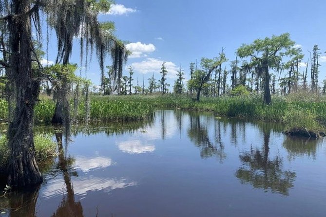 Small-Group Airboat Swamp Tour With Downtown New Orleans Pickup - Tour Overview and Details