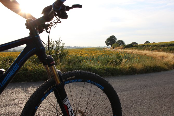 Small Group E-Bike Chianti Tour With Farm Lunch From Siena - Tour Overview