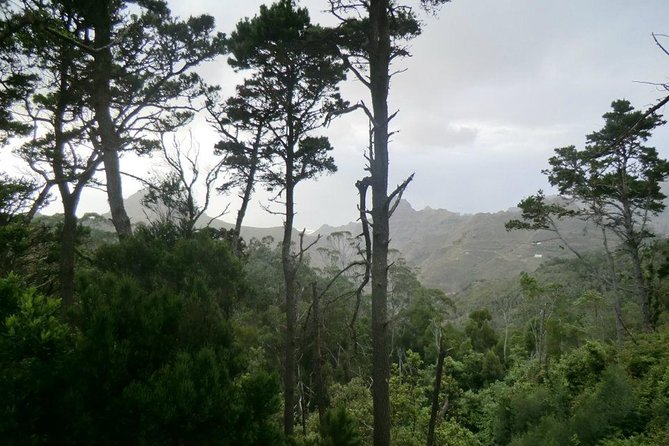 Small Group Guided Hiking in Anaga Rural Park in Tenerife - Overview of Anaga Rural Park