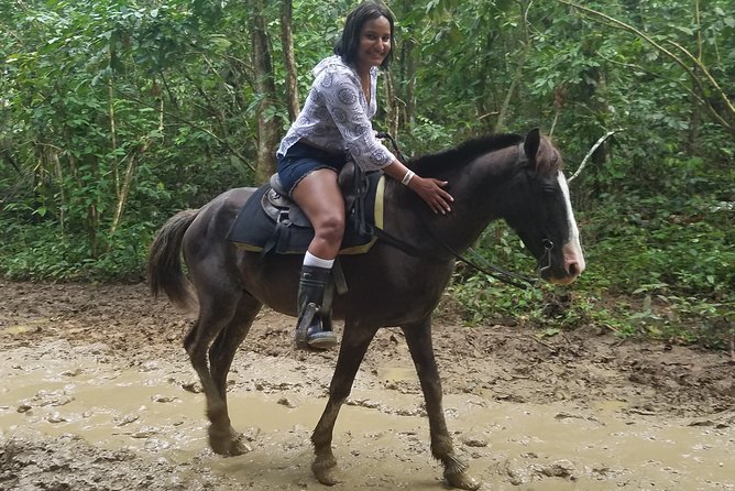 Small Group Half Day Horseback Riding Tour From Punta Cana Tour Overview