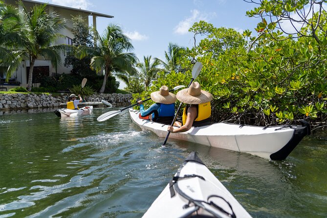 Small Group Kayak Adventure in the Cayman Islands - Overview and Details