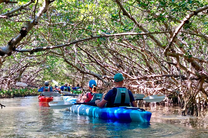 Small Group Kayak Tour Of The Shell Key Preserve Tour Overview