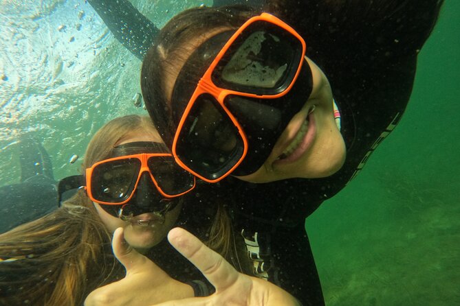 Small Group Manatee Swim Tour With In Water Guide Location And Accessibility