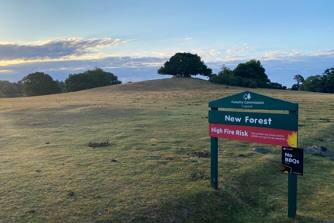 Small Group New Forest Discovery Walk From Lyndhurst Tour Overview