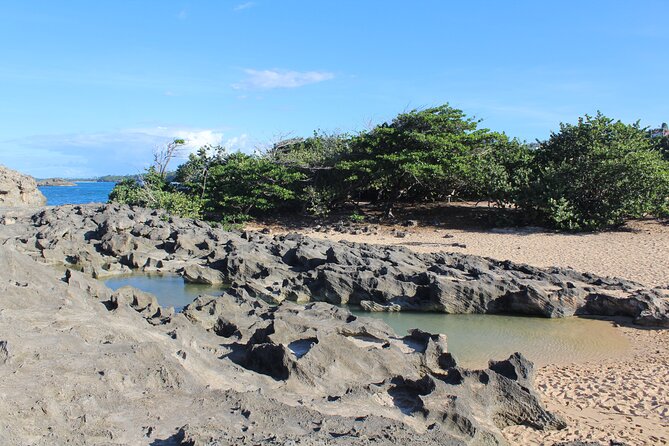 Small Group North Coast Beach Hopping Adventure In Puerto Rico Experience Highlights