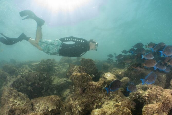 Small Group Snorkeling Boat Trip In Guánica, Puerto Rico Meeting And Pickup