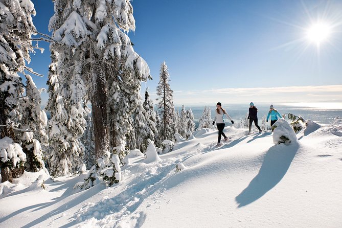 Small Group Tour: Capilano Suspension Bridge and Grouse Mountain From Vancouver - Attractions Visited