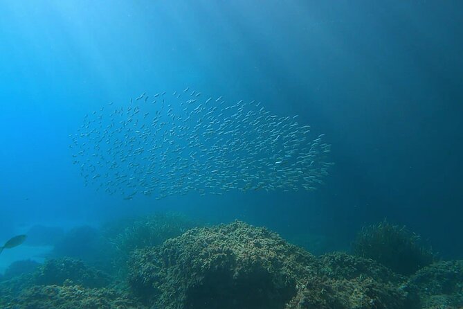 Snorkeling Adventure In The Southern Coves Of Menorca Overview Of The Adventure