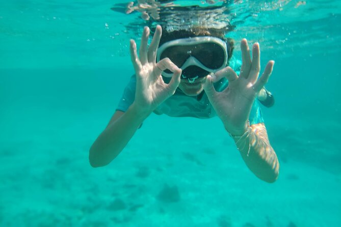 Snorkeling And Grilling Fresh Fish At Donkey Beach Overview Of The Activity