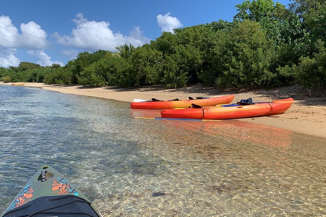 Snorkeling And Kayak Eco Experience Discovering The Vibrant Marine Life