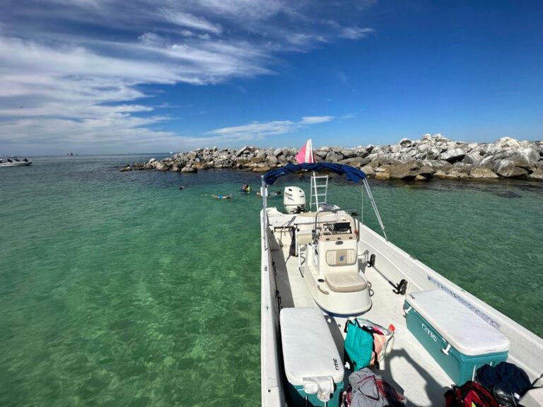 Snorkeling, Dolphins, Wildlife Sightings In St. Andrews Bay Activity Details