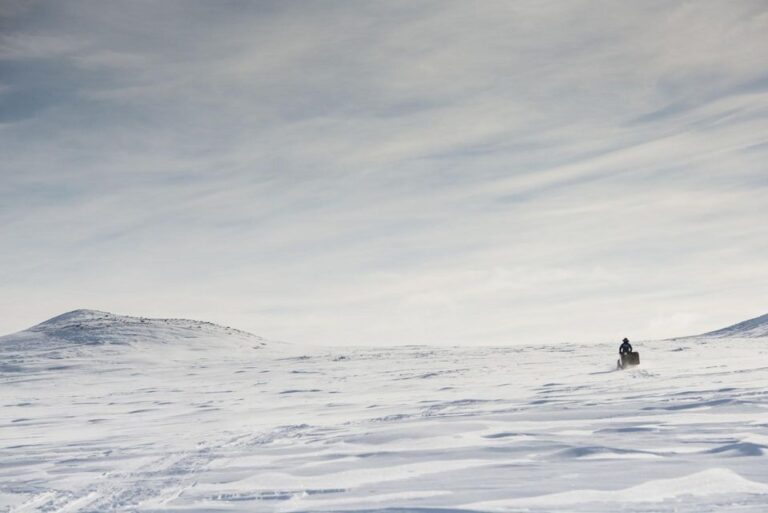 Snowmobile Adventure Abisko (shared) Explore The Abisko Wilderness