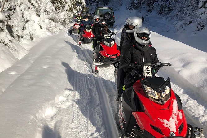 Snowmobiles Tour In Carpathian Mountains Tour Overview