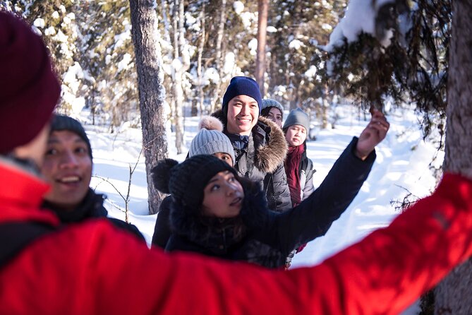 Snowshoe Trip in the Wilderness - Overview of the Activity