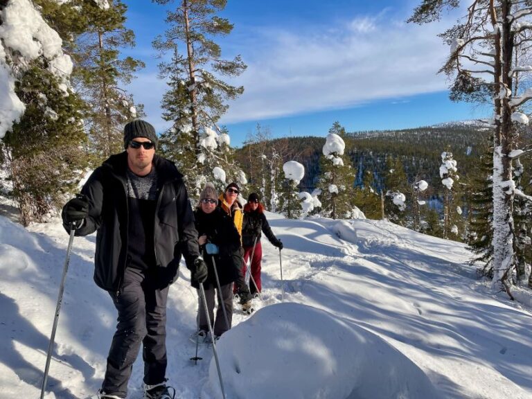 Snowshoeing In Levi Activity Details