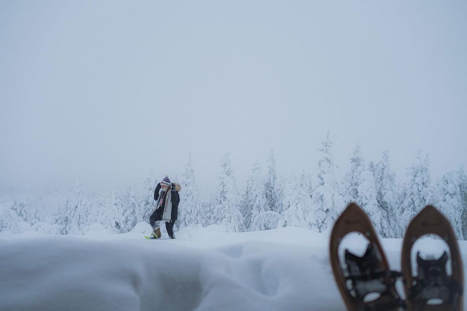 Snowshoeing in the Frozen Forest - Adventure Overview