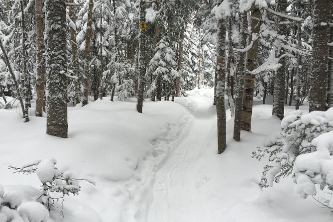 Snowshoeing Tour In Jacques Cartier National Park Included In The Tour