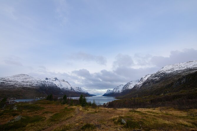 Sommarøy Arctic Day Trip - Scenic Viewpoints