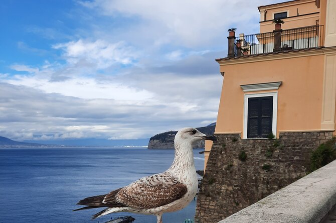 Sorrento In The Grand Tour With Breathtaking Landscapes Meeting Point And Tour Start