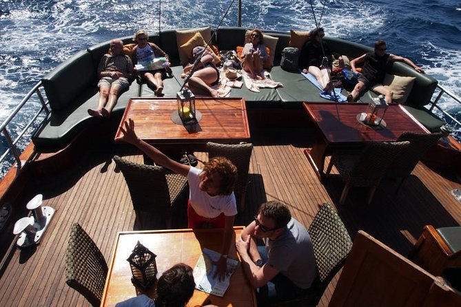 South Fuerteventura Vip Cruise On Board A Turkish Gulet Overview Of The Cruise